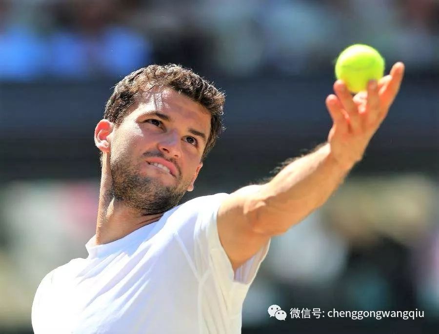 能站上巅峰 能站上巅峰