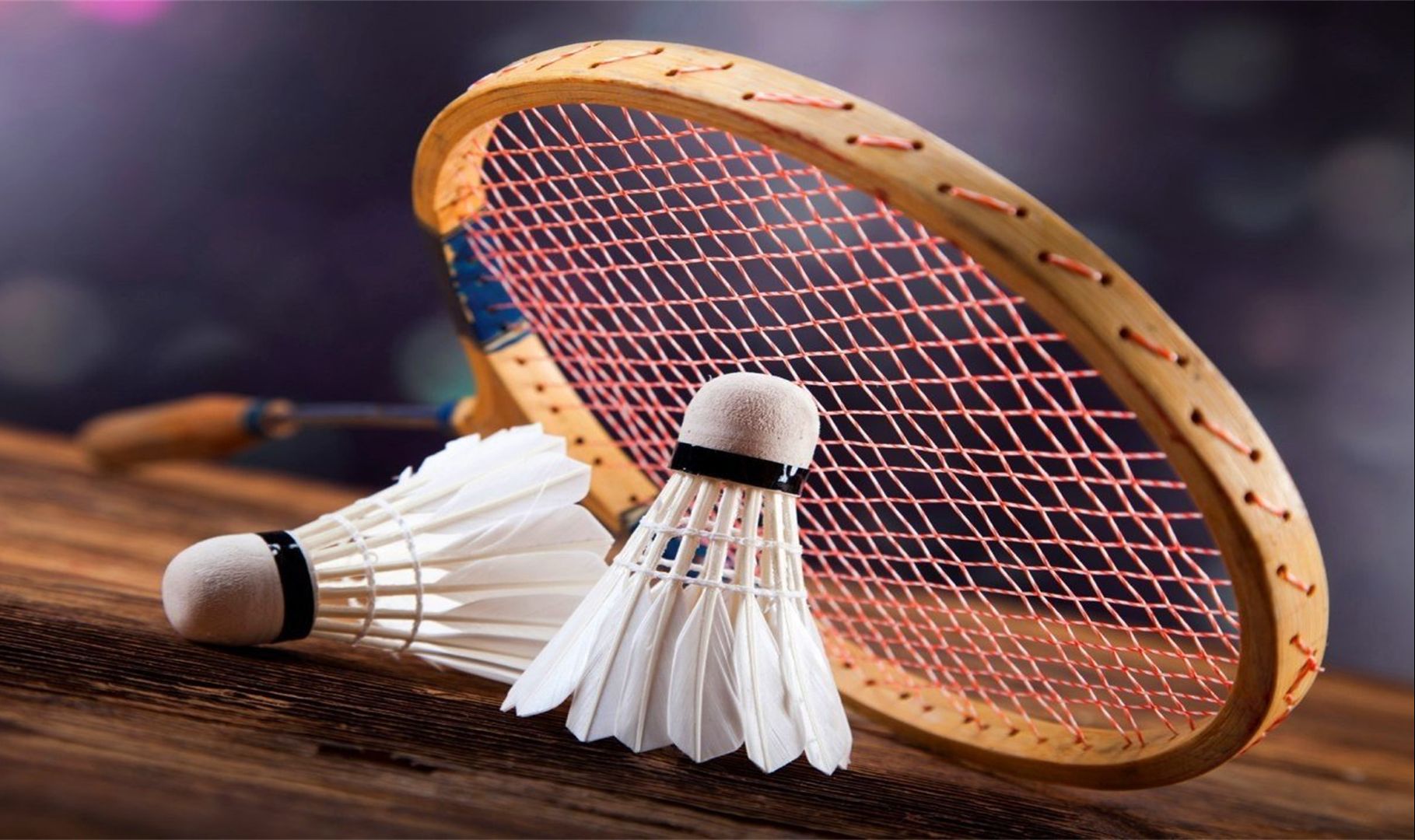 但彼此间的 但彼此间的